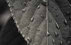 sense-wallpaper-14