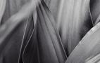sense-wallpaper-9