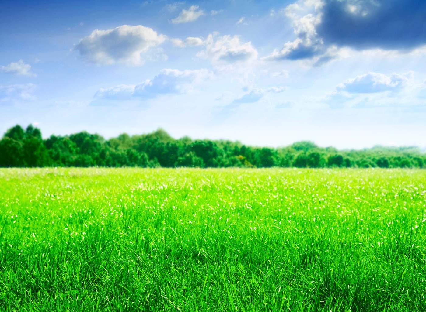 Download:  DROID XYBOARD Wallpapers