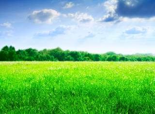 Download:  DROID XYBOARD Wallpapers