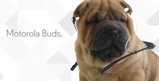 Motorola Announces Buds, Their First Bluetooth Headphones Collar Made for Dogs
