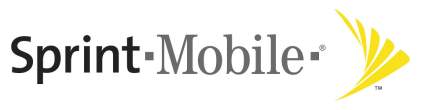 WSJ:  Sprint is Preparing a Bid for T-Mobile