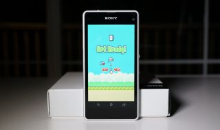 Goodbye, Flappy Bird.