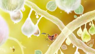 Botanicula, From Makers of Machinarium, Hits Google Play for $4.99