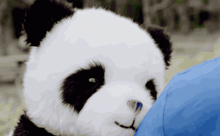 Our April Fools’ Day 2015 Round-Up – Google, Samsung, and More