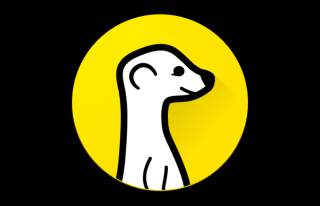 Meerkat Sheds Beta Label on Google Play