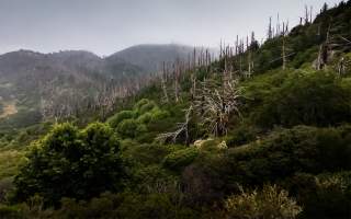 Lightroom for Android Update Includes Pro Camera Mode, Widget