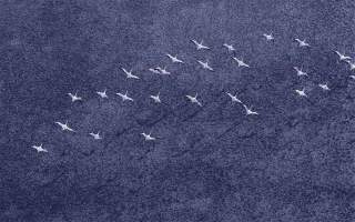 These May be the Nexus 2016 Wallpapers, Download Away