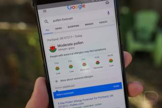 Google Now Provides Pollen Forecasts in Search