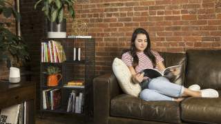 Canary is the Latest to Integrate Google Assistant Into Its Devices