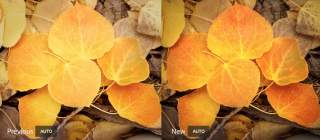 Adobe Lightroom Picks Up New Auto Tool, Plus App Shortcuts on Android