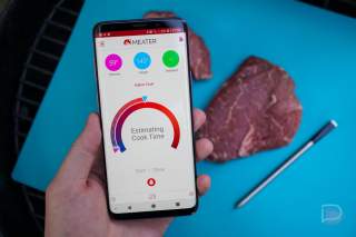Didn’t Know I Needed a Smart Meat Thermometer Until I Got MEATER