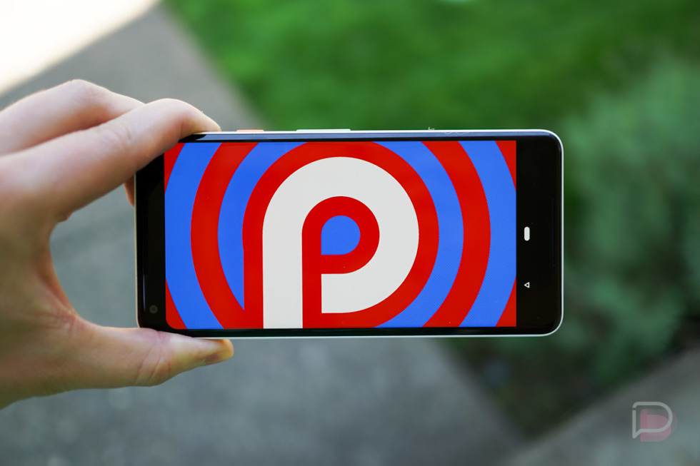 Android P Easter Egg