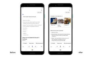 Google Assistant Query Results Now Come in the Form of Cards