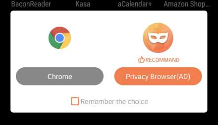 Apex Launcher Now Pushes Its Own ‘Privacy Browser’ When You Open a Browser App