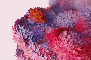 Galaxy S20 Wallpapers Available for Download