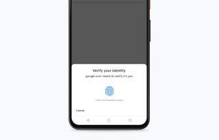 Google’s Autofill Gets Biometric Support for Credit Cards
