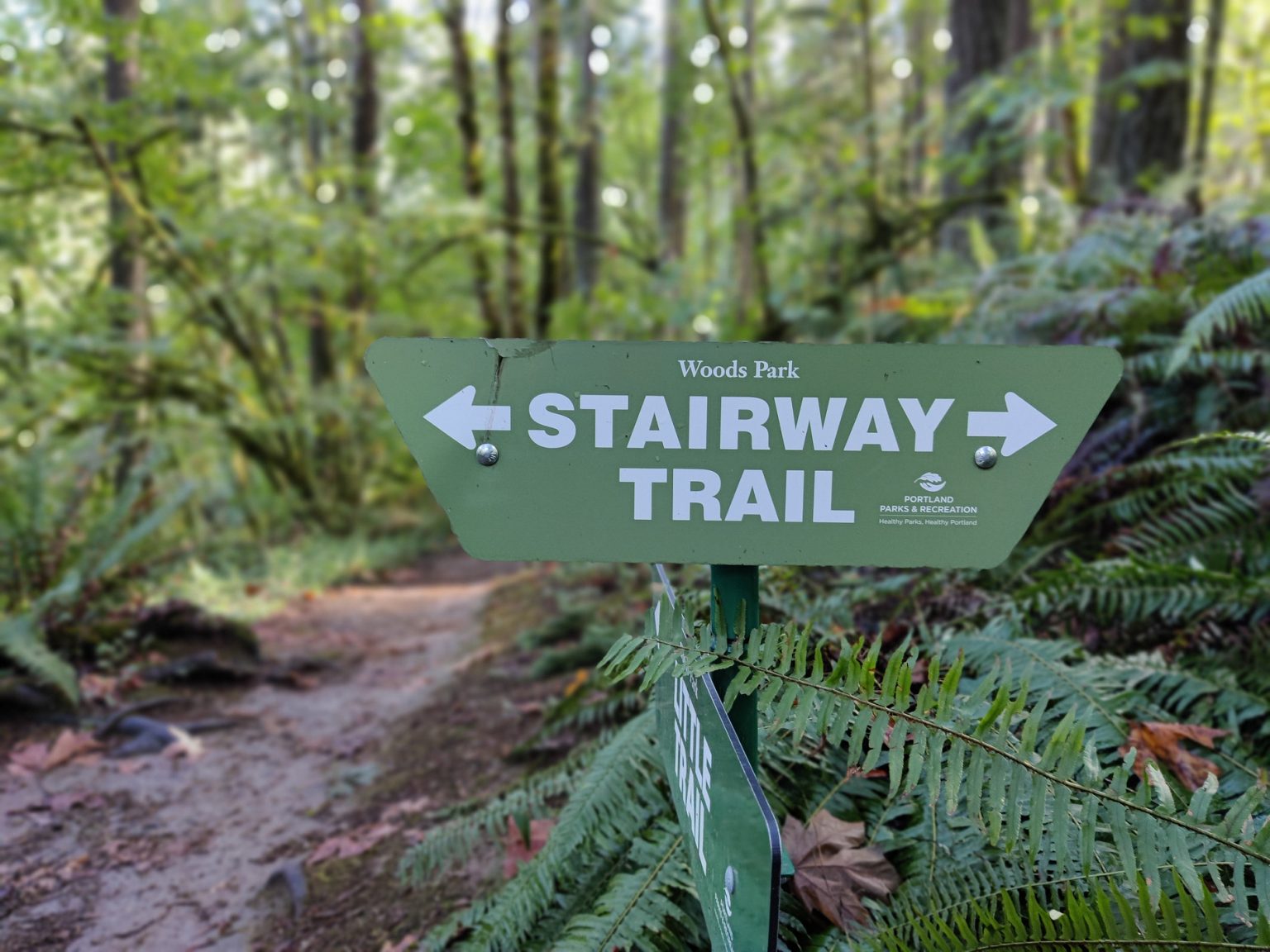 OnePlus 8T Review: Their Best Phone Yet