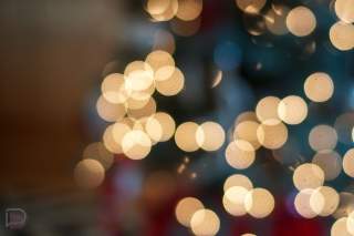 DL 2020 Holiday Gift Guide