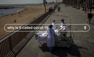 Google Releases “Year in Search” for the Worst Year Ever