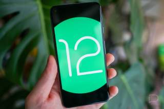 Android 12 Timeline Posted, Public Beta Begins in May
