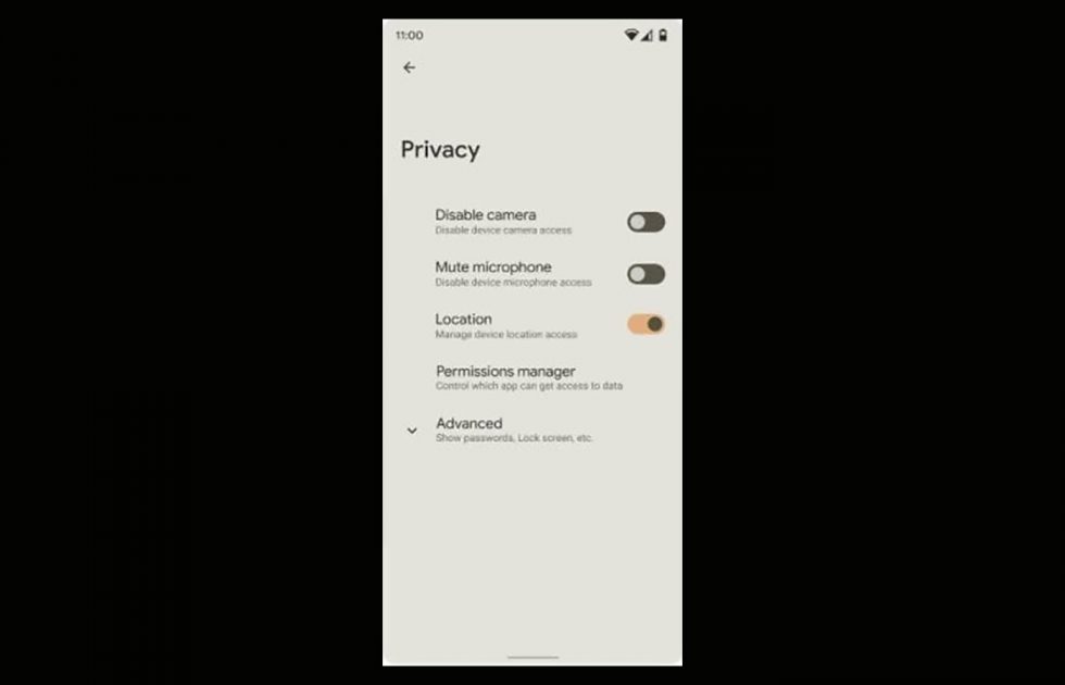 Android 12 Privacy Controls