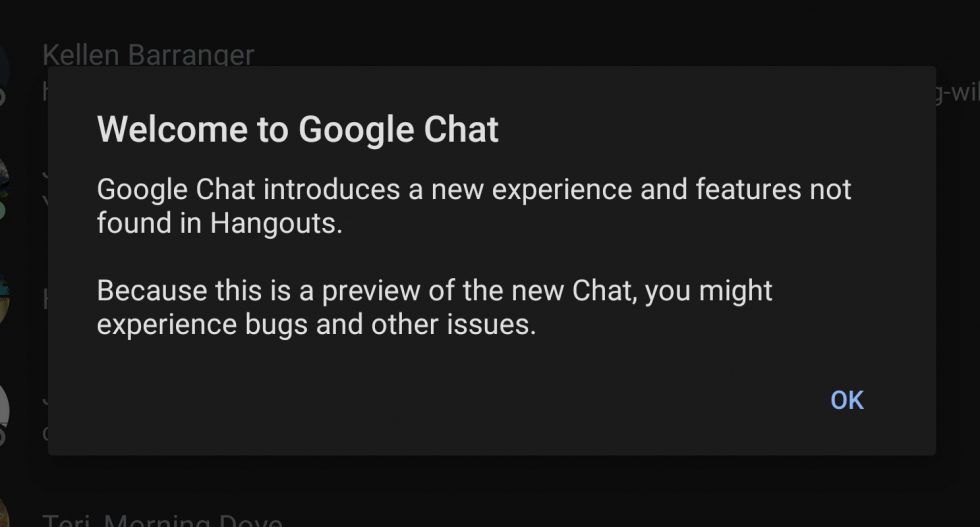 Google Chat Preview