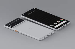 If Google Made a Pixel 6 “Panda” Color…