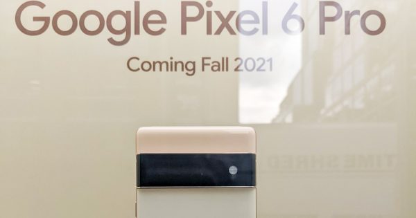 This Guy Found a Pixel 6 Pro and Took These Pictures of It - Vimarsana News