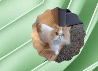 Google Photos Improves Cinematic Photos, Rolls Out New Widget