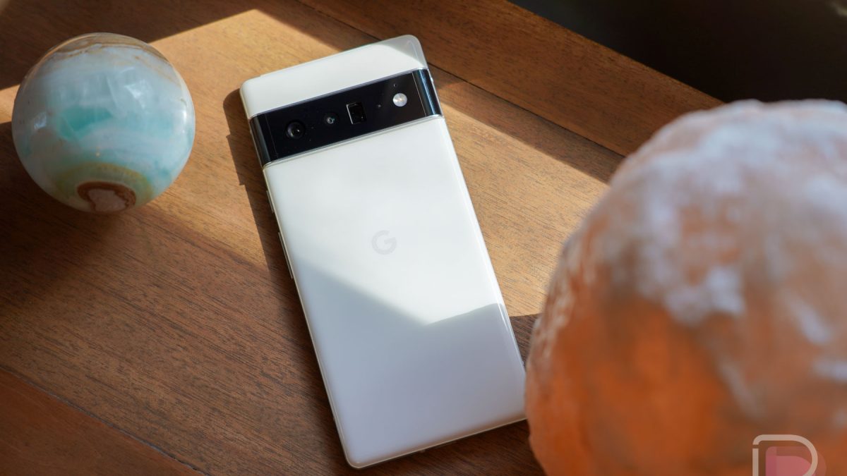 Pixel 6 Full Review: After a Month! 