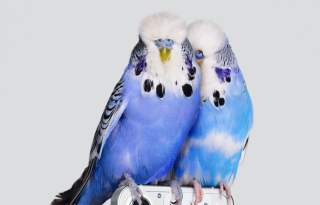 I Spy With My Little Eye… Nothing!