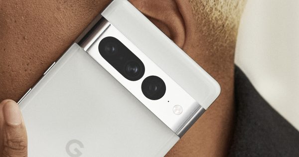 Take in All These Pixel 7 Pro 30x Zoom and Macro Shots - Vimarsana News