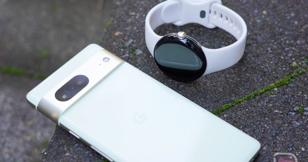 Read more about the article May Patch Inbound for Pixel Watch