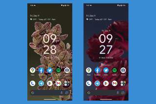 Don’t Overlook These Hot ‘Live Bloom’ Pixel Wallpapers