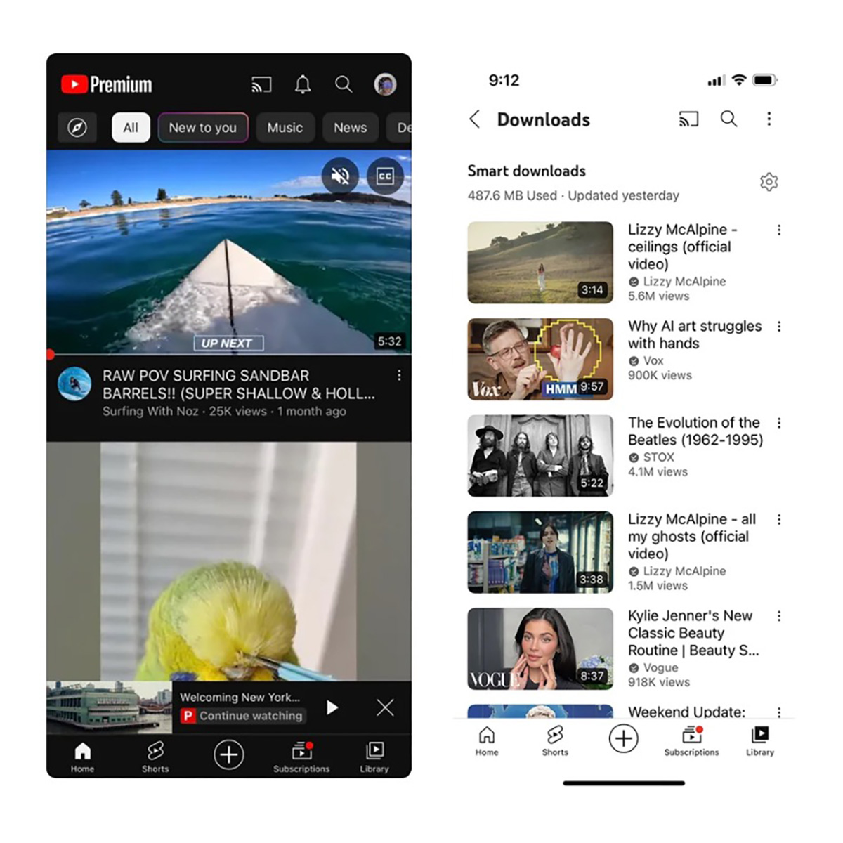 YouTube Premium Smart Downloads