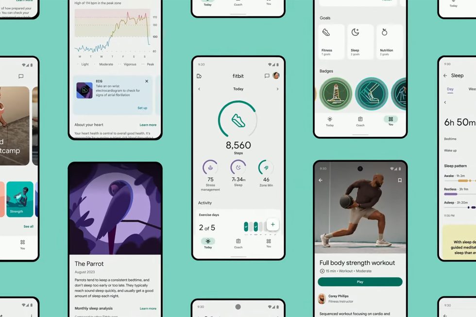New Fitbit App - Android