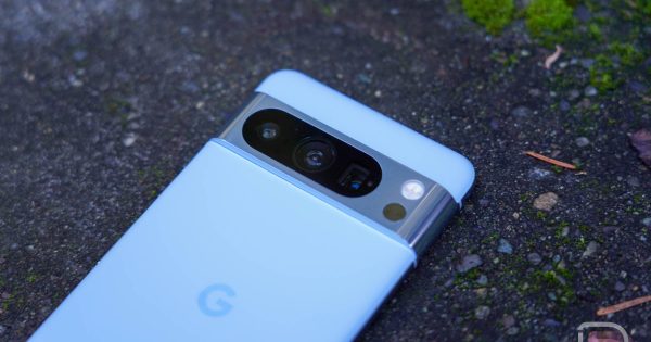 دارندگان Pixel 8 Pro، فوراً این ویژگی جدید را فعال کنید دارندگان Pixel 8 Pro، فوراً این ویژگی جدید را فعال کنید