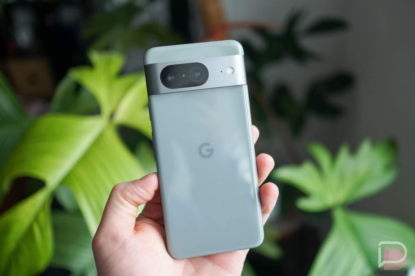 Pixel 8 Gets Gemini Nano After All, More Pixel Phones Get Circle to Search