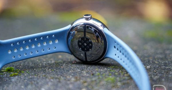 Pixel Watch December Update Lands This Week - Vimarsana News