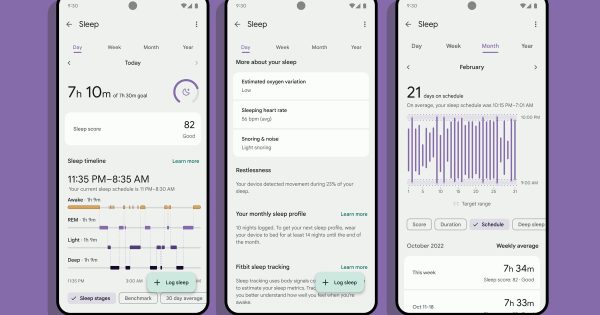 تجربه جدید خواب Fitbit بسیار جذاب است تجربه جدید خواب Fitbit بسیار جذاب است
