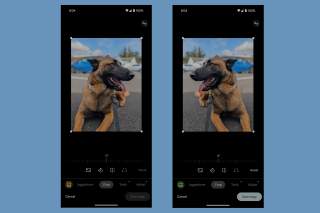 Google Photos Flips Switch, Now You Can Flip Images