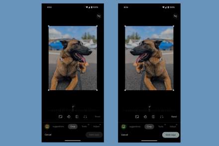 Google Photos Flips Switch, Now You Can Flip Images