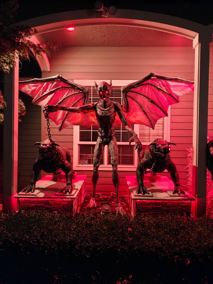 OnePlus 15 Camera Samples