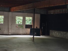 OnePlus 15 Camera Samples