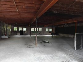 OnePlus 15 Camera Samples