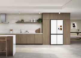 Samsung Gemini Fridge