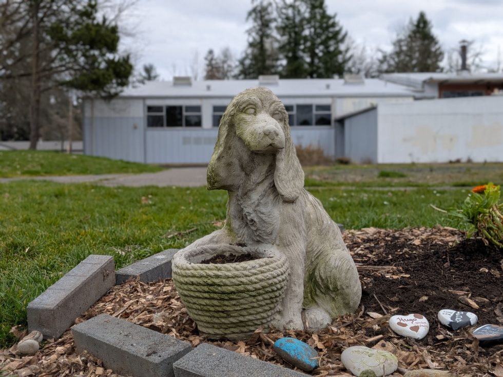 Pixel 10a Camera Samples-1