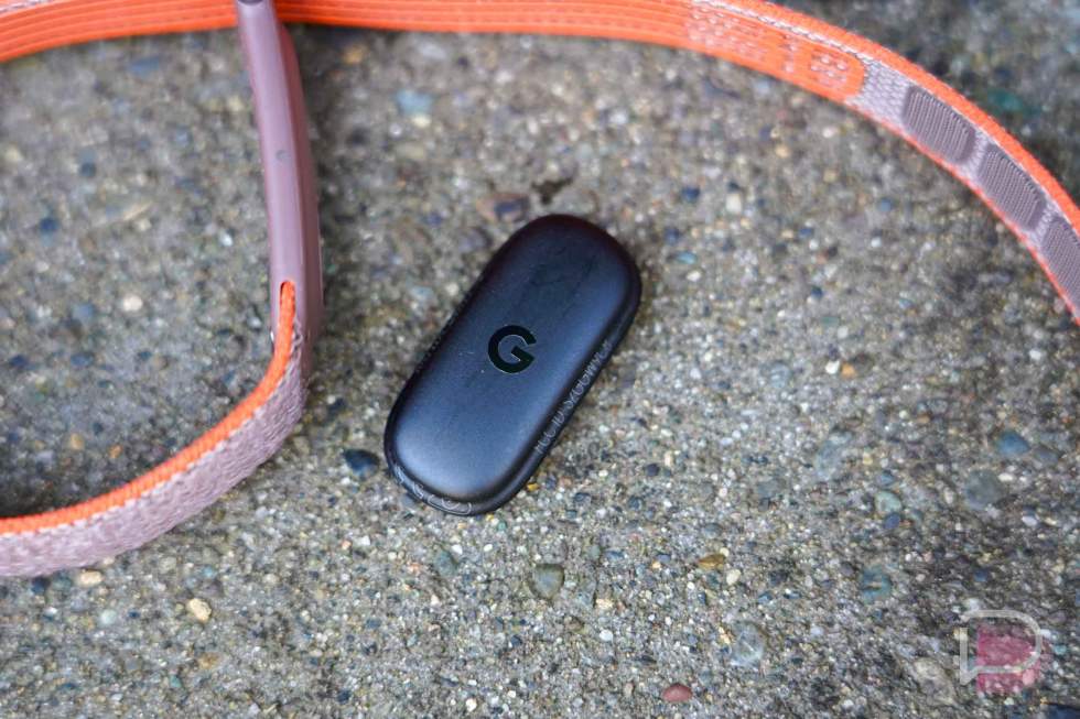 Google Fitbit Air Review