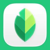 Snapseed 4.0 Arrives on Android